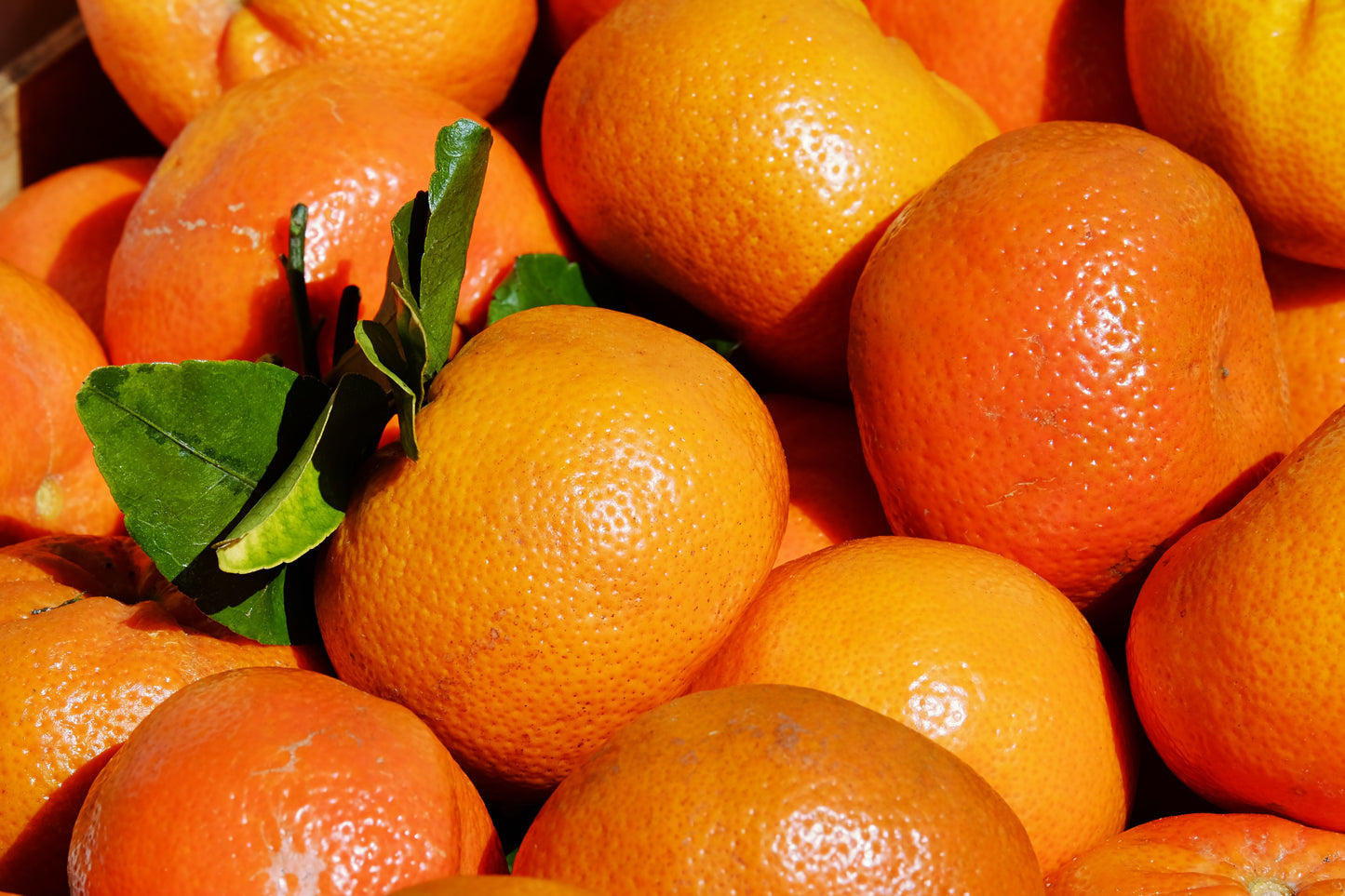 Premium Eco Certified Tangerine